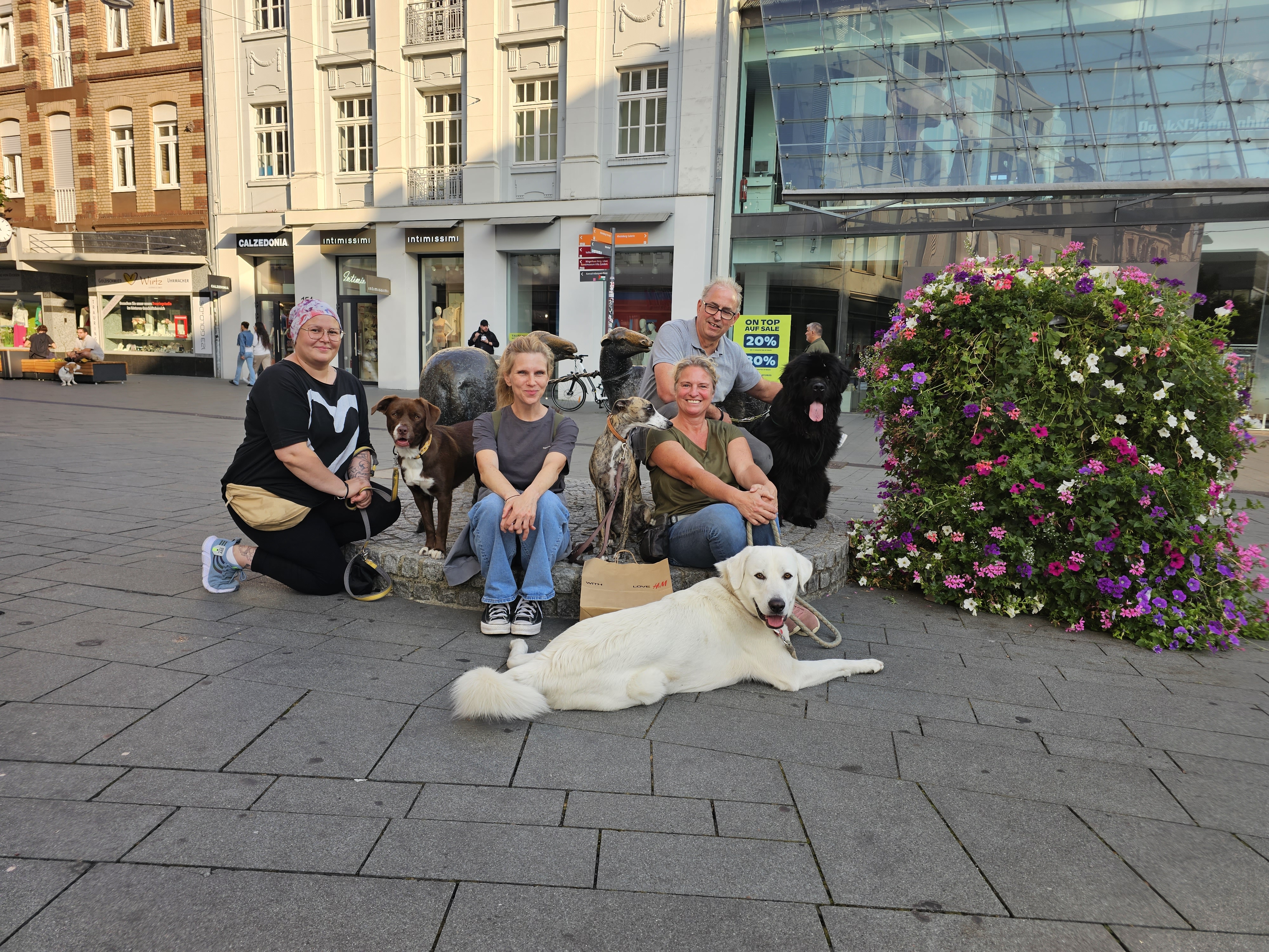 Warum langfristiges Hundetraining der Schlüssel zum entspannten Alltag ist