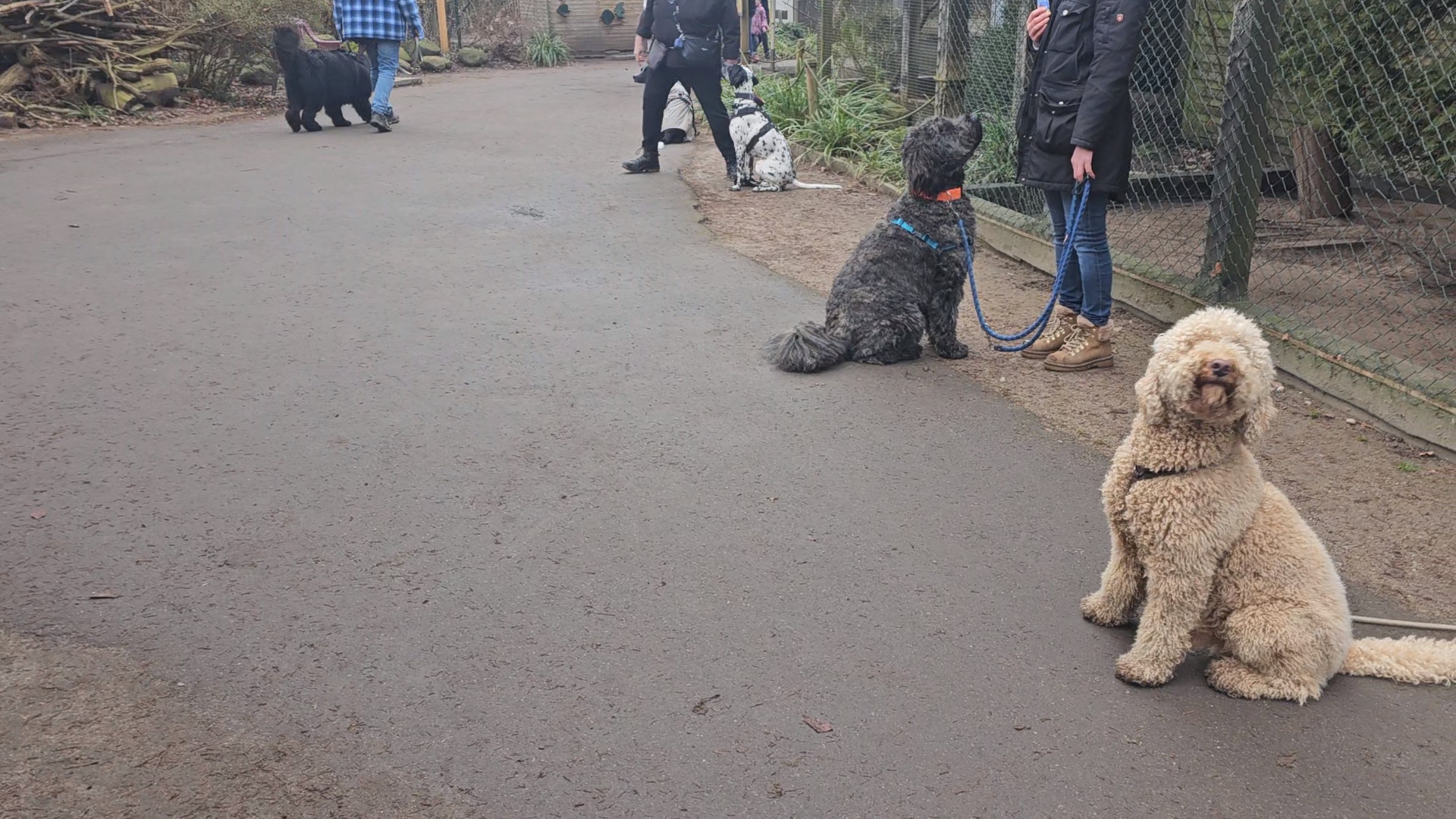 Warum Training Grenzen hat